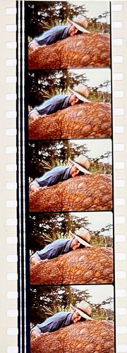 Jurassic Park 1993 Very Rare Unmounted 35mm Film Cells - Steven Spielberg - Picture 91 of 142