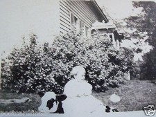 RPPC CUTE TODDLER SITTING ON CALF BABY COW! REAL VELOX PHOTO 1907- 1917 POSTCARD