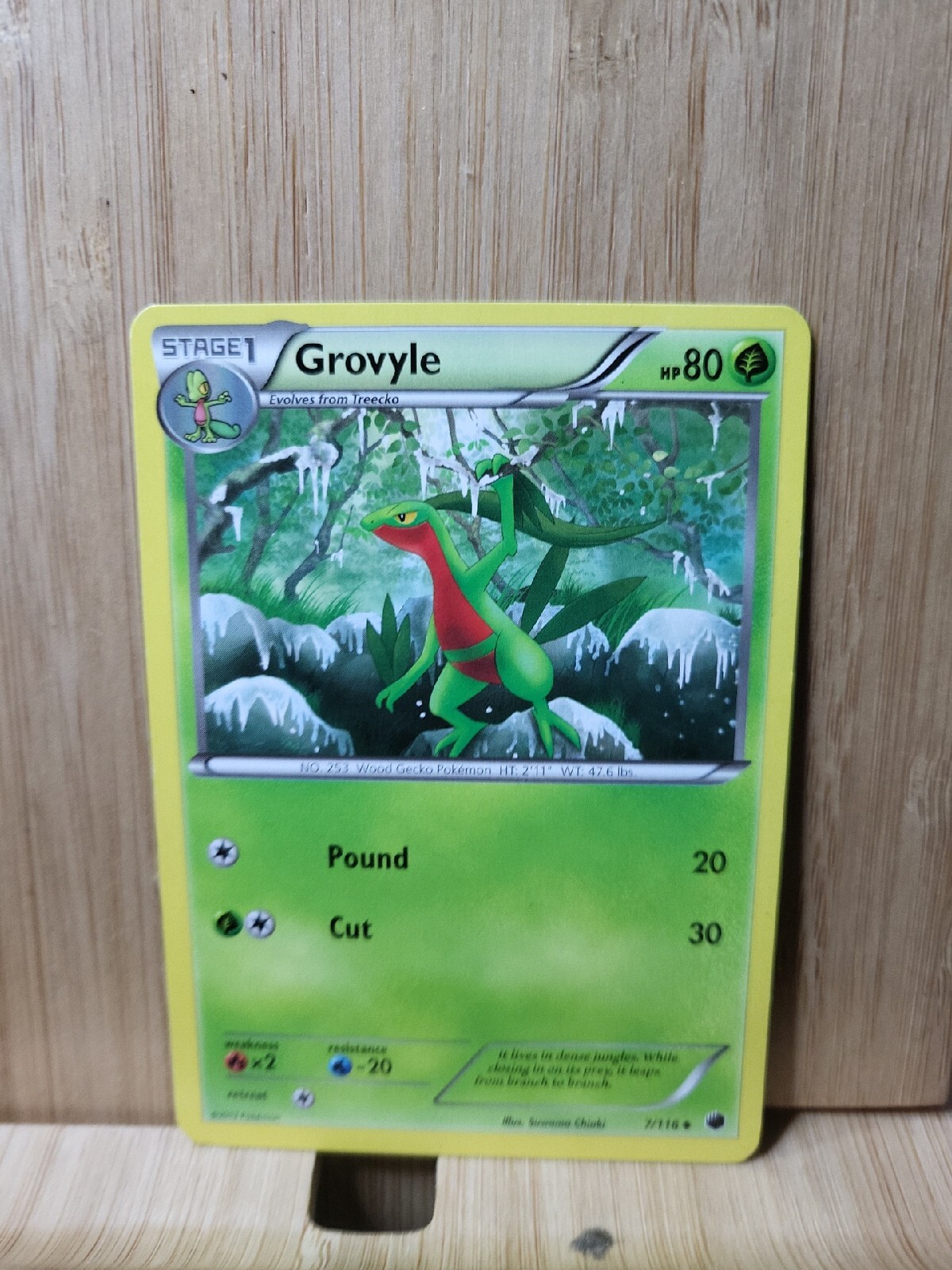 GROVYLE🏆7/116 Plasma Freeze (Genuine) Pokemon Card🏆(MAR)