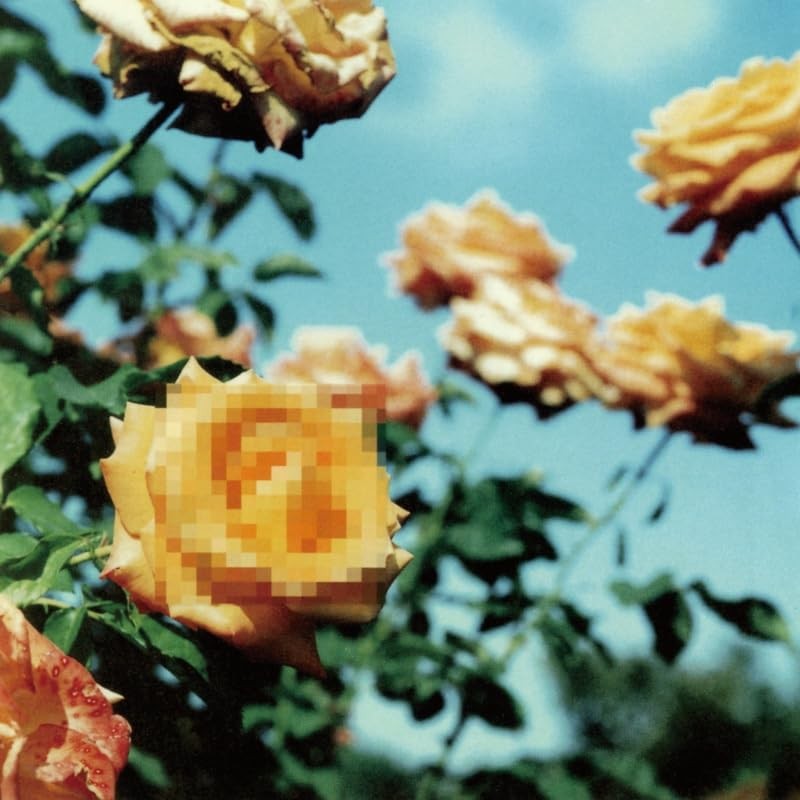 [BRAND NEW] globe - Relation (2LP, Limited Edition) [Vinyl]