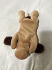 “BONES” TY BEANIE BABY DOG, ERROR, PE PELLETS - MINT CONDITION! — photo 3