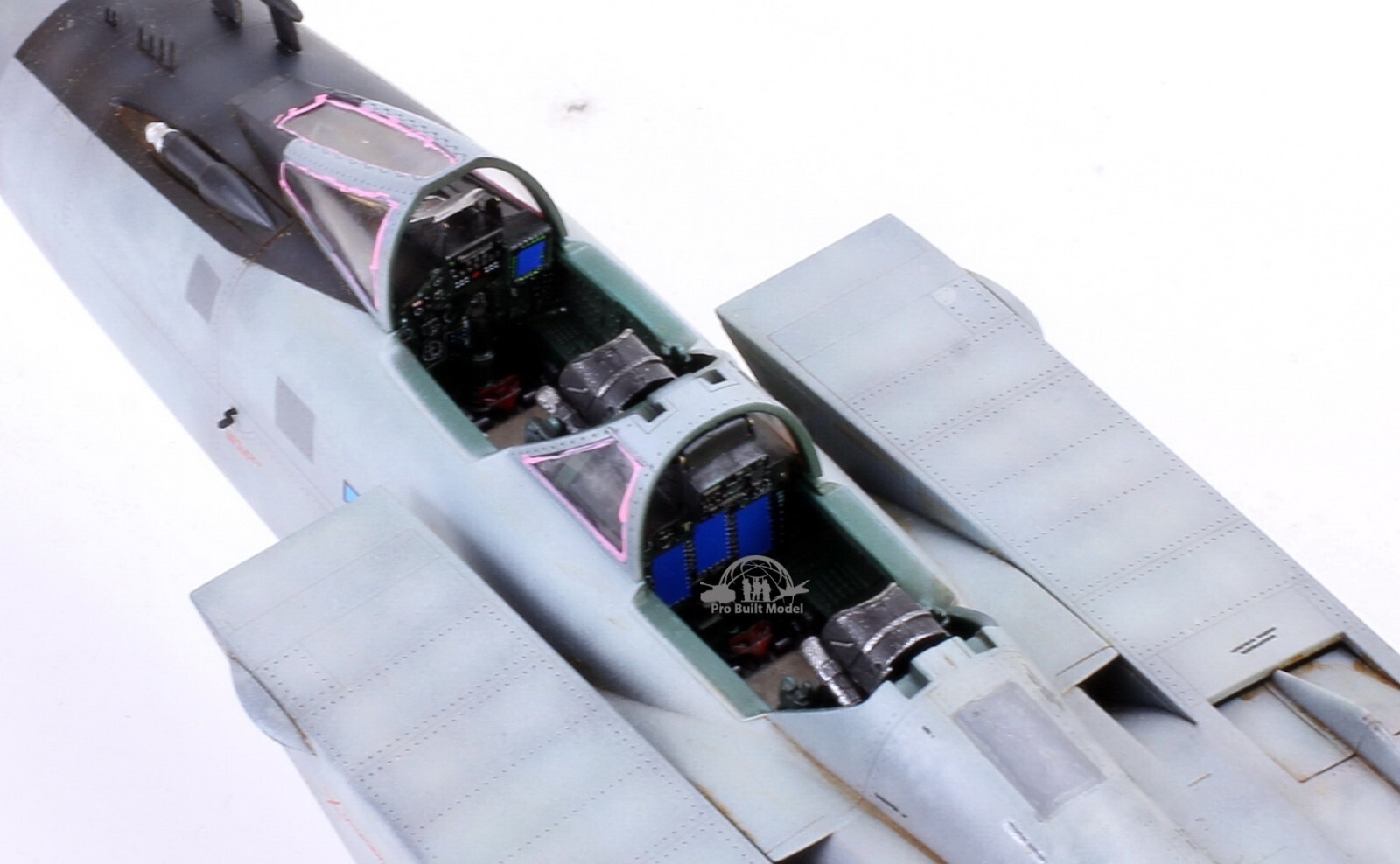 PreSale Russia MiG-31 Foxhound 1:48 Pro Built Model