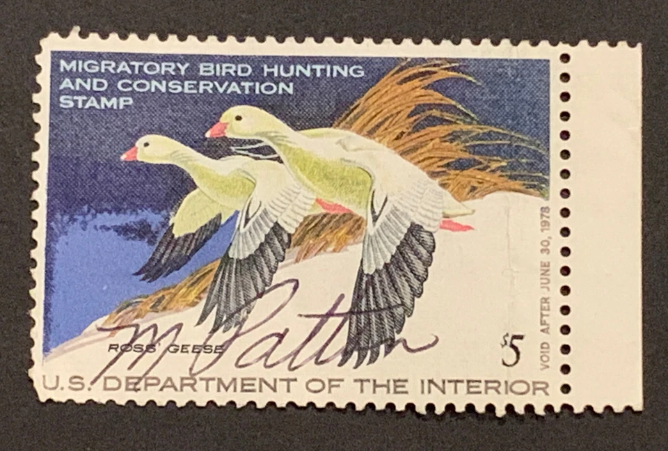 Travelstamps: US Stamps Scott  #RW44 $5 Ross' Geese Used Signed 1977 - Image 2 of 4
