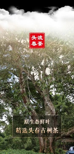 Chinesischer Tee, Yunnan Pu'er Tee, Fengzhai Pu'er Rohteekuchen, Schwarztee357g - Bild 4 von 13