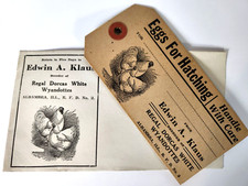 Eggs For Hatching Vintage Egg Tag and Envelope Wyandotte Hens Alhambra Illinois