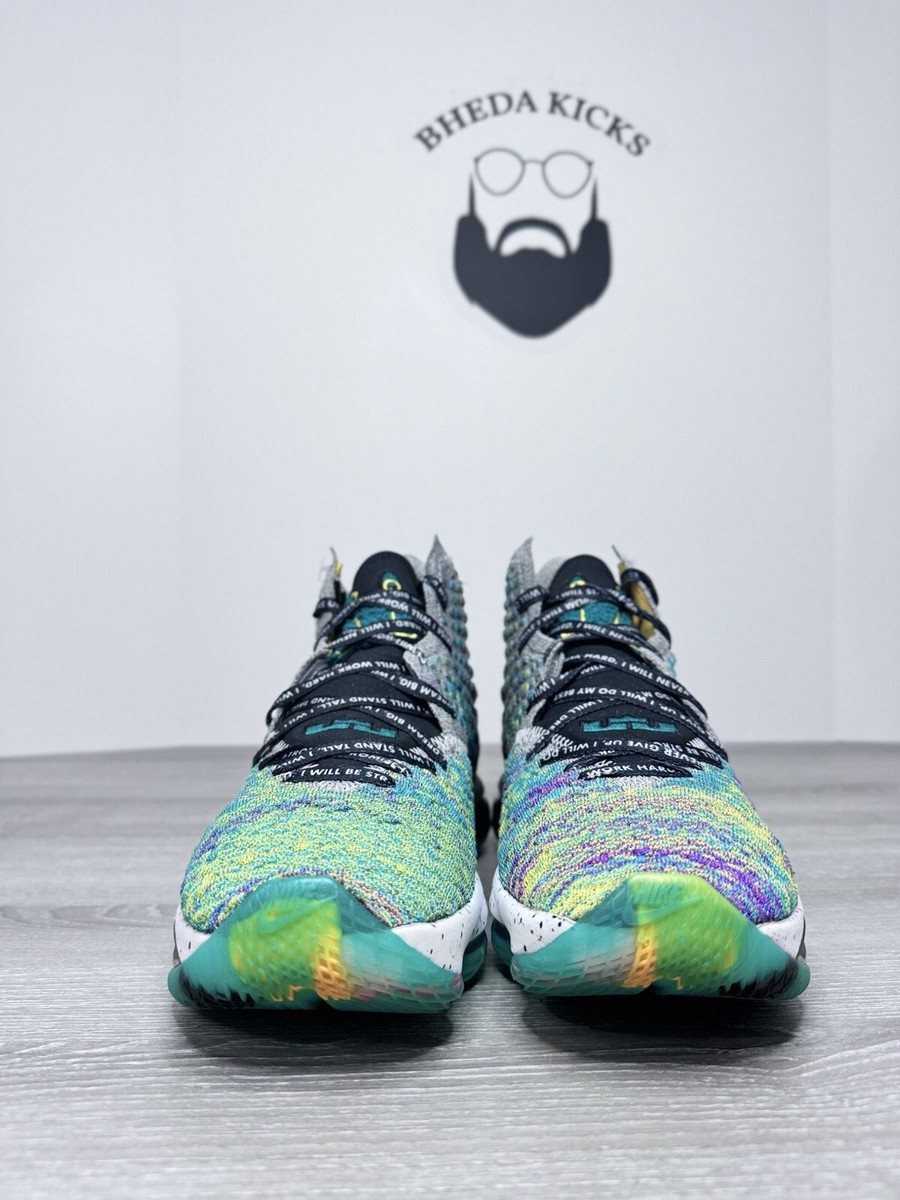 Size 9 - Nike Lebron XVII LJFF 17 I Promise Basketball Shoe