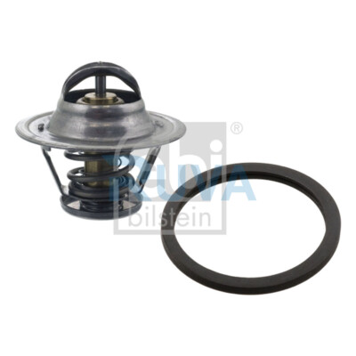 Fits Citroen Relay Fiat Ducato Peugeot Boxer Iveco Daily Ruva Thermostat Coolant