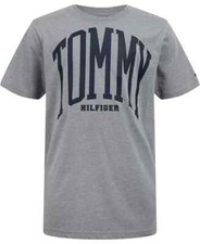 TOMMY HILFIGER Little Boys Full Blown Short Sleeve Graphic T-shirt SZ 4 Grey