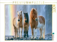 Calvendo Puzzle The Majesty Of The Waterfalls | 1000 Pieces, Finished Size 25.2