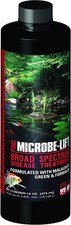 Microbe-Lift BSDT16 Pond Disease Treatment 16oz for Koi Goldfish