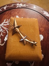 Gabriela Artigas Shooting Star