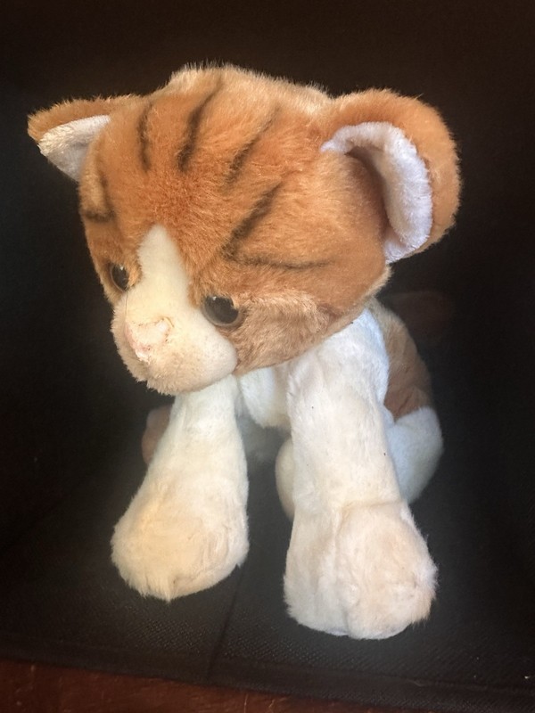 Adventure Planet Cat Plush Stuffed Animal Orange & White Small (6-14 in)