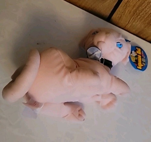 Austin Powers MR. BIGGLESWORTH Plush Dr. Evil Cat W/TAGS Blockbuster SOUND WORKS - Bild 7 von 8