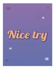 Inspirational Quote Wall Art Poster - Nice Try Motivational Decor