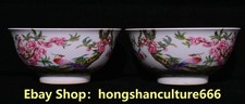 Qing Yongzheng Marked Pastel porcelain Flower Bird pattern Wine Bowl bowls Pair