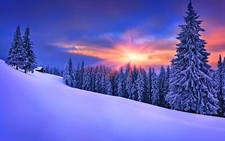 Landscape forest winter snow pine trees nature sky Custom Gaming Mat Desk