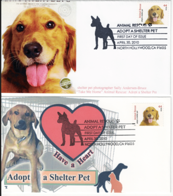 Adopt Free Dogs Near Me 2019 Dogs Trust Advert Song 2019 4+