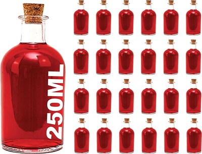 250 ml GLASFLASCHEN NEW-B-250  Öl-Essig-Flasche kleine Saftflasche Korken x 24
