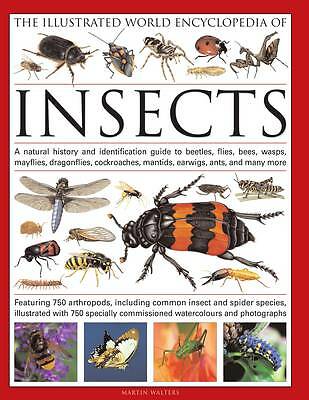 The Illustrated World Encyclopaedia of Insects: A Natural History and...