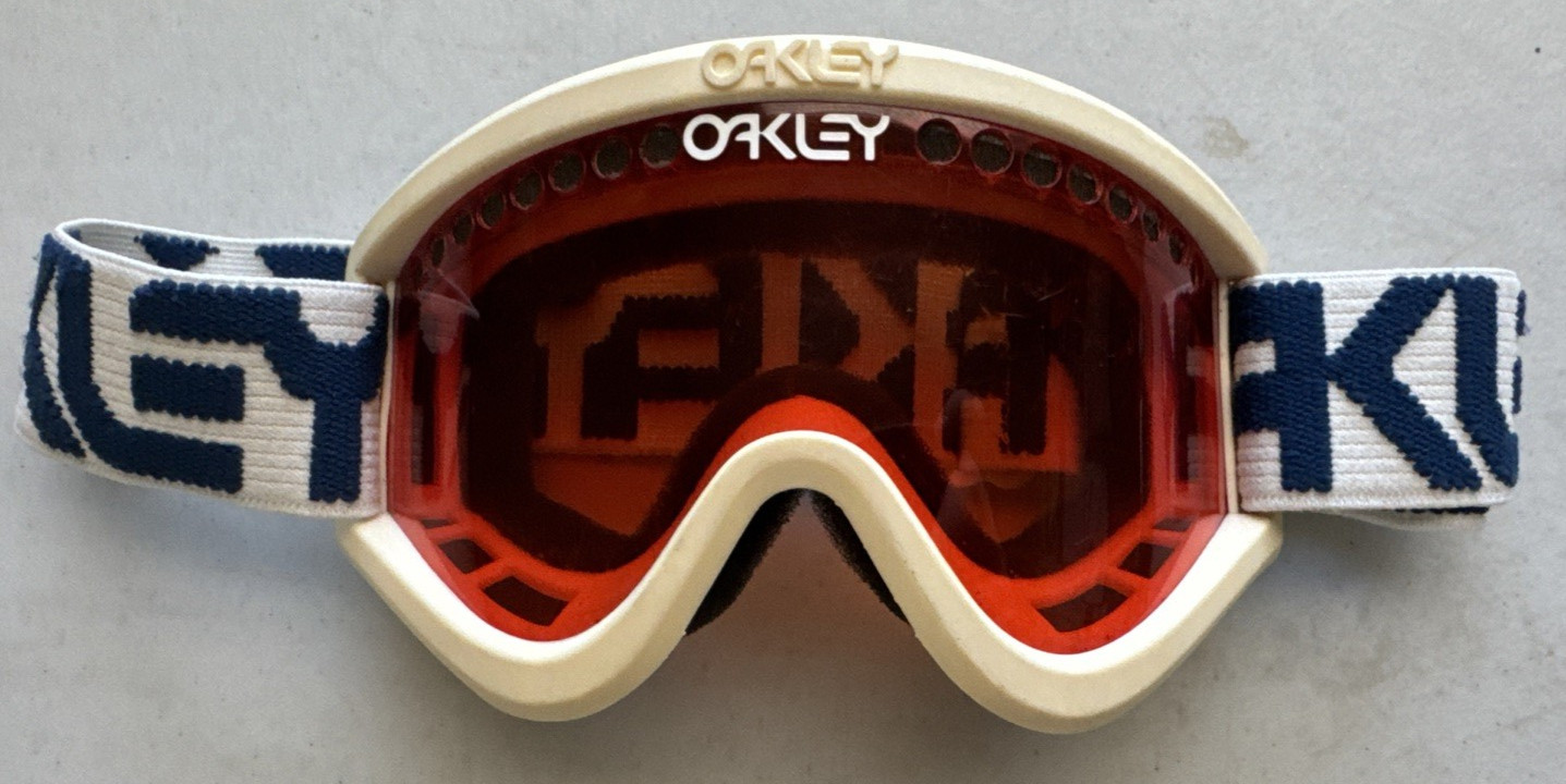 Winter Goggles