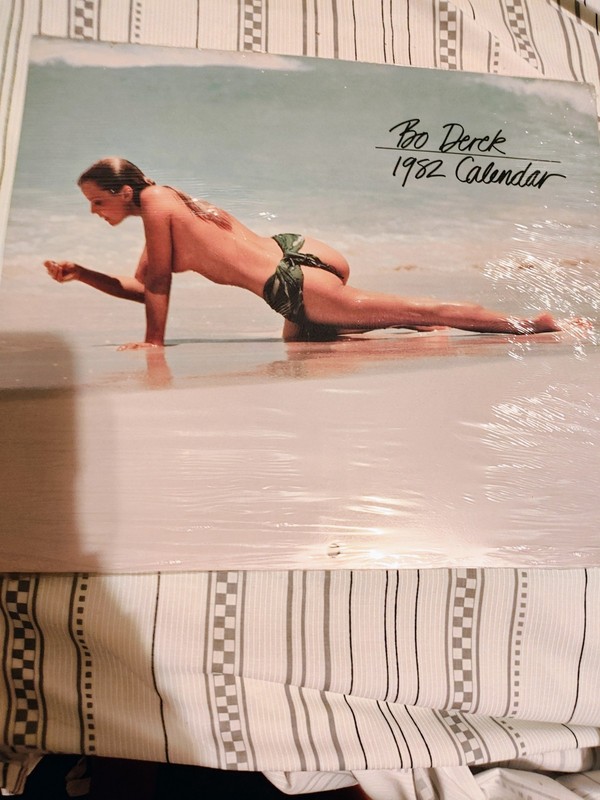 Vintage 1982 Bo Derrick Calendarin Mint Sealed Unopened