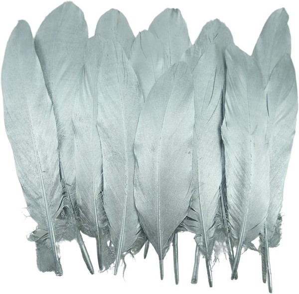 GäNsefedern 50 StüCk Silber 15-20Cm FüR TraumfäNger Basteln Schmuck Deko DIY-image