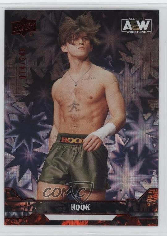 2023 Upper Deck AEW All Elite Wrestling Dynamite 74/249 Hook #16 1r9e
