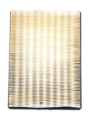 Mopar 5037615AA Luftfilter für Chrysler 300C Dodge Challenger, Magnum