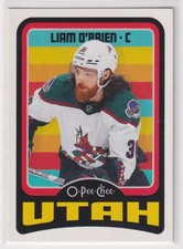2024-25 O-Pee-Chee Retro Liam O'Brien Utah Hockey Club #193