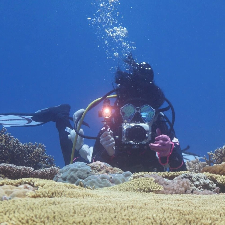 Adjustable Dual Handle Aluminium Tray Stabilizer Rig Diving Upgrade for Gopro UK - Image 2 of 4