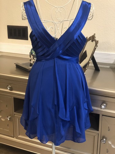 Beautiful BCBG MaxAzria Mini Dress 