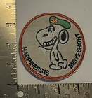 Vietnam War Snoopy - Happiness is Being Short (Timer) Shoulder Patch Usaf