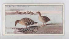 1927 Player's Game Birds and Wild Fowl Tobacco Pink-footed Goose #19 m5x