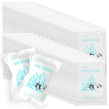 Small Shipping Dry Ice Packs Shipping Cold Packs for Frozen Food, 48 Packs Bu...