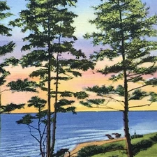 Livingston Manor Trees Water Postcard Vintage New York