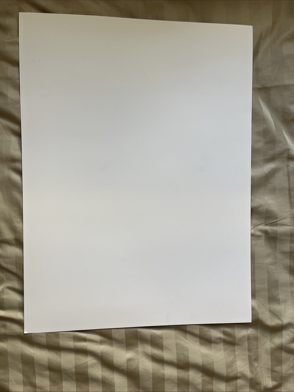 Bild 7 von 8