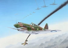 Typical A.V.G. Odds - Terry Pyles - Signed & Number LTD ED Print - Mint