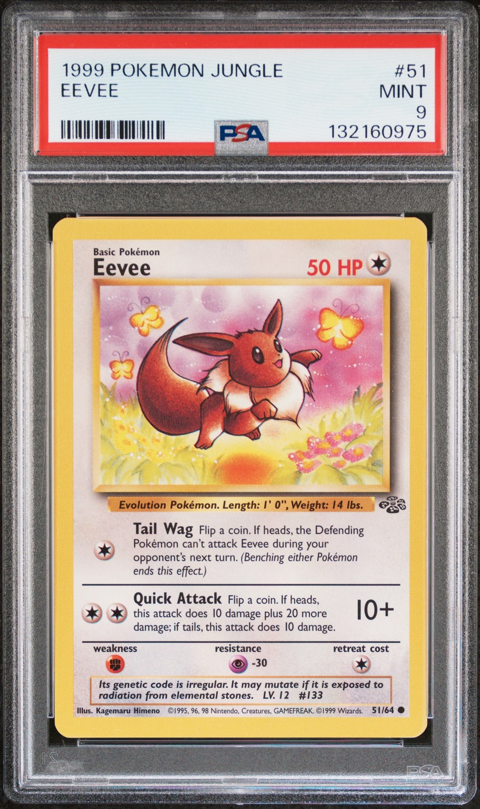 Eevee #51