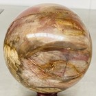 Natural Petrified Wood Polished Stone Quartz Crystal Sphere Ball Healing 2480G — photo 9