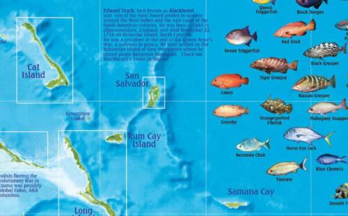 Bahamas Wandkarte laminiertes Poster - Bild 3 von 4