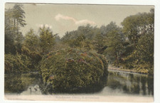 Old Postcard of Branksome Chine, Bournemouth 1904