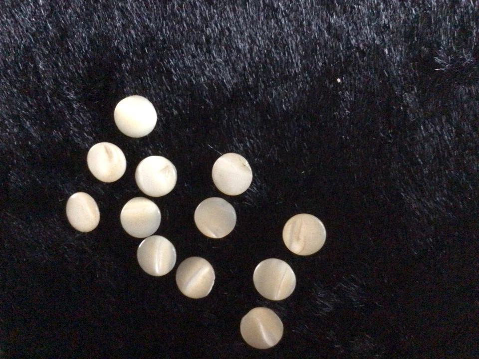 Antique Mother of Pearl Buttons x 12 Small Sewing Crafts - Image 3 of 4