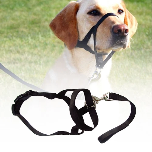 Kopfhalsband Hundetraining Gehorsam Stoppen Sie Das Ziehen An Der Leine ↑ - Bild 2 von 24