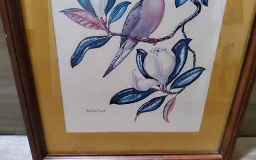 Anne Worsham Richardson Print Mourning Dove Framed Matted 60-70s 12x15 - Picture 4 of 4