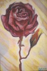 Bild 5 von 6