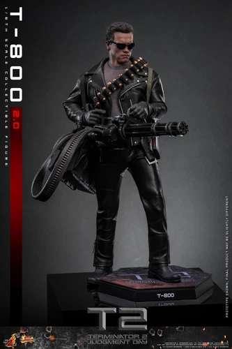 Hot Toys MMS795 Terminator 2 Judgment Day T800 2.0 Arnold Schwarzenegger Figure - Picture 6 of 8