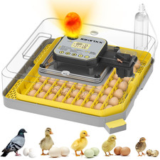 Incubator for Hatching Eggs-48 Egg Capacity, Auto Egg Turner  New Auto Precisio