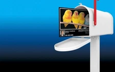 2500 Full Color 2 Sided REAL PRINTING 4"x6" Postcards 16pt 16pt 16pt with UV