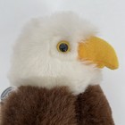 Bild 7 von 12