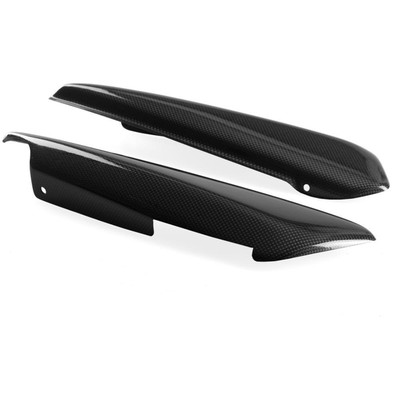 Carbon Seitenverkleidungen DUCATI MONSTER 600 620 695 750 800 900 1000 S2R S4R